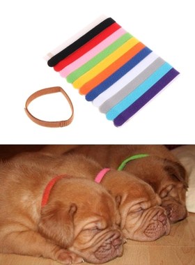 12Pcs Pets Puppy Collars Different Colors Soft Identificatio