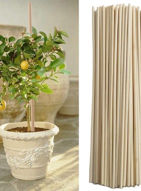 50 PCS Natural Wood plant sticks Wooden Popsicle Stick Ho