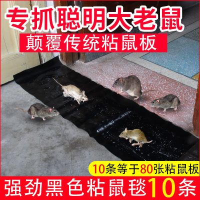 粘大老鼠贴强力加长粘鼠板抓捉扑沾捕鼠器灭鼠胶家用室内粘老鼠毯