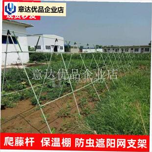 玻璃钢拱棚支架农用温室地膜种菜薄膜新型弓条长U竿冬季搭棚大棚,