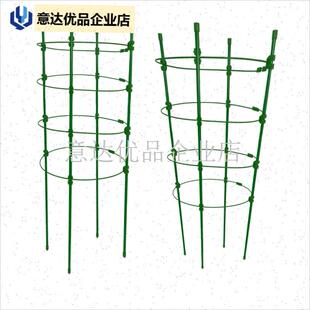 藤架子铁线莲花架月季花支架花盆栽植物攀M爬架室内固定花支撑杆,