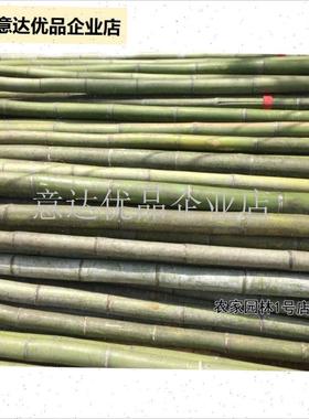 鲜天然竹b竿粗大竹子婚庆婚礼道具花艺装饰毛竹杆庭院3米4米绿色,