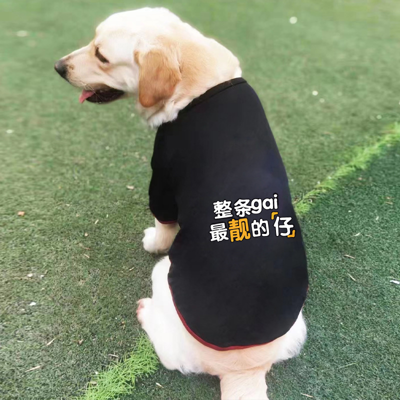 狗狗衣服夏季背心大中型犬金毛拉布拉多萨摩耶防掉毛薄款宠物衣服