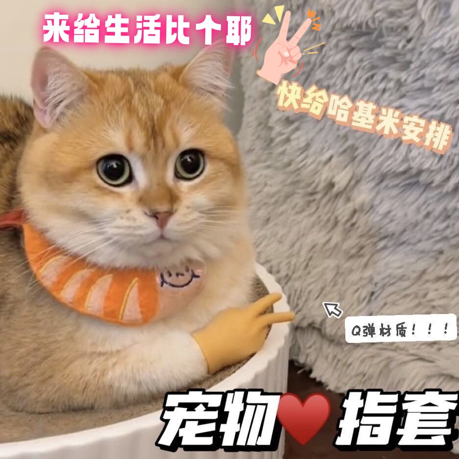 猫咪手套逗猫玩具剪刀比耶手指套