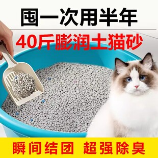 豆腐猫砂混合配比高效除臭抑制异味低尘结团拒绝粘底5 10斤