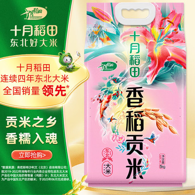 十月稻田 香稻贡米 东北大米 5kg 香米 粳米 5公斤