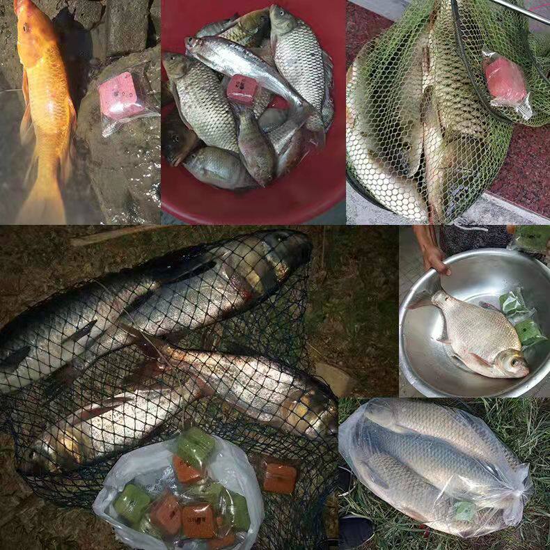 青翻板钩海竿综合糠鲤通杀草鲢鳙饵料巨物方块饼g老抛竿草鱼野钓