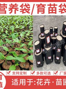 育苗袋桉树水果育苗袋槟榔营养袋黑色一次性加厚种植袋树苗营养袋