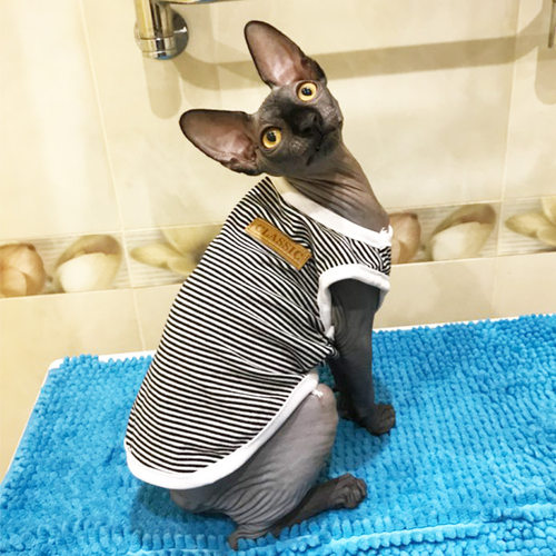 Summer Cat Clothes Cotton Striped Vest Pet Cats T Shirt跨境1