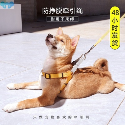 Slip cat leash dog pet dog dog chest back colour 溜猫牵引绳1