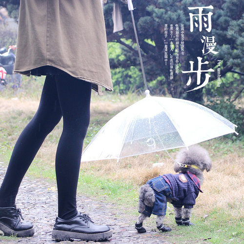 Pet supplies teddy poodle small dog traction umbrella walkin