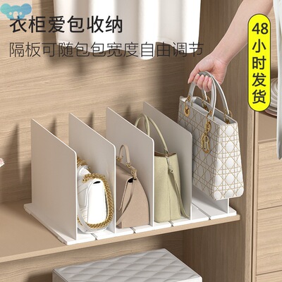 Removable bag organizer divided into compartments to put the