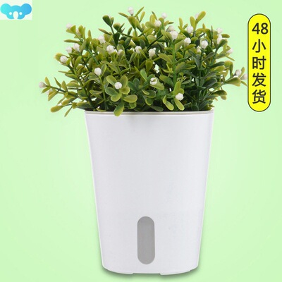 Hydroponic Automatic Water Absorption 2-layer Succulent跨境
