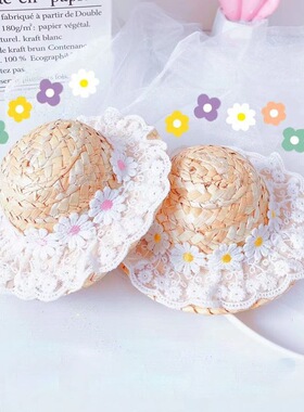 Spring and Summer Lace Flower Hat Cat Dog Sun Shade Straw跨