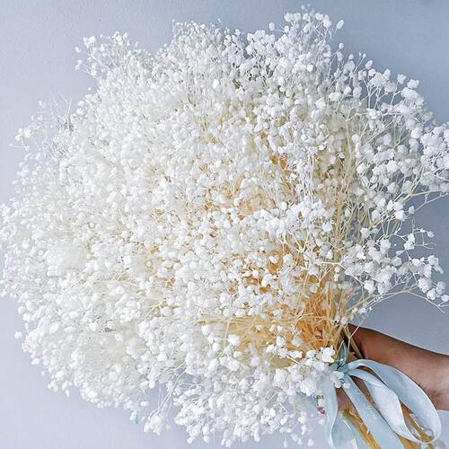 Bleached Dried Manzanita Bouquet-3500+Pure White