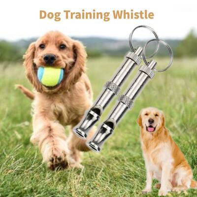 Dog Whistle Training Dog Silver Whistle Stop Barking跨境