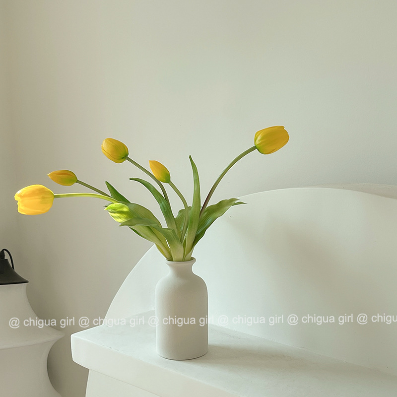 Living Room Decoration Glass Vase Home Decore Vases for Flow