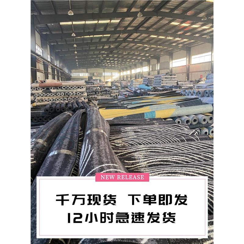 Carpet Living Room Warm Floor Rugs fluffy Mats Kids Room Rug