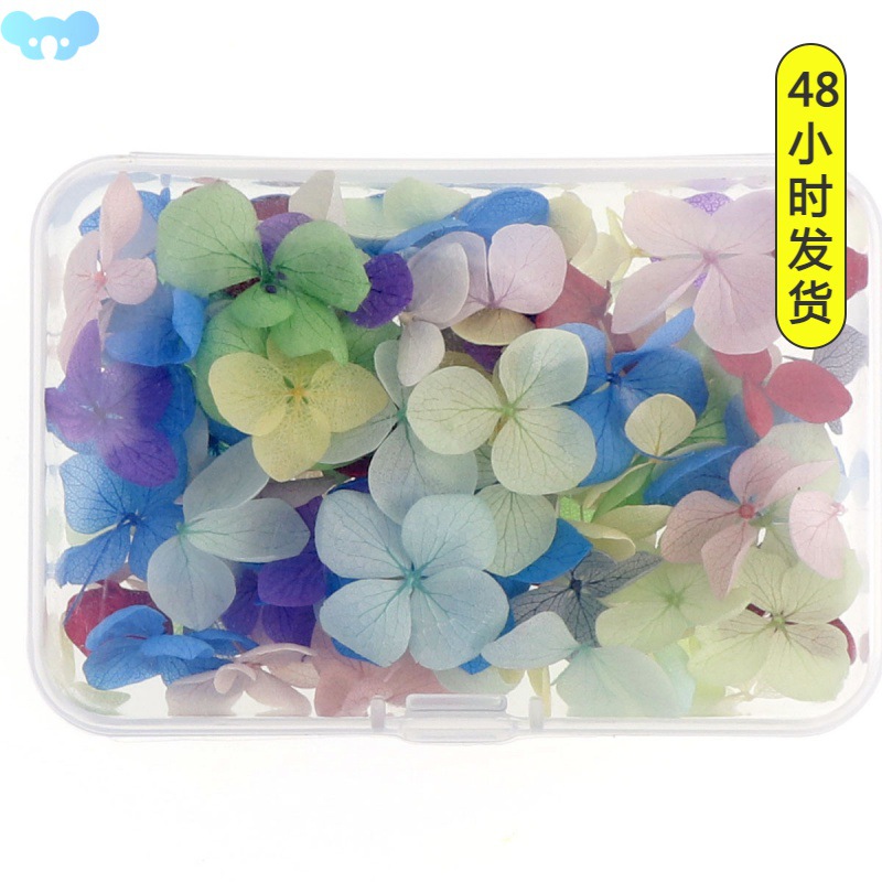 Jewelry diy dried flowers hydrangea flowers nail art diy