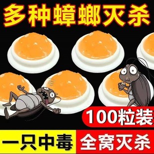 强效蟑螂药出租屋家用非无毒一窝端厨房内蟑螂克星灭虫神器方便贴