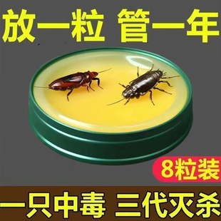 灭蟑螂神器出租屋家用无毒一窝端蟑螂克星方便贴 强效蟑螂药加强版