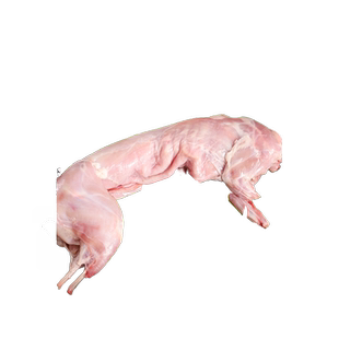 新鲜兔肉整只现杀冷冻兔子肉特大号兔农家散养去头生肉食材2.5斤