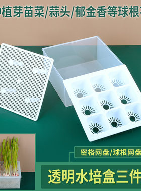 透明塑料小方盒方形芽苗菜种植盘子大蒜郁金香球根花卉水培盆