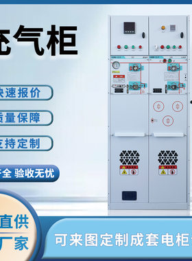 固体柜户外高压开关柜成套配电箱充气柜并网柜进出线环网柜10KV