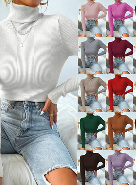 2023 Women's Turtleneck Sweater Pullover Knitted Top T-shirt