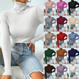 2023 Women's Turtleneck Sweater Pullover Knitted Top T-shirt