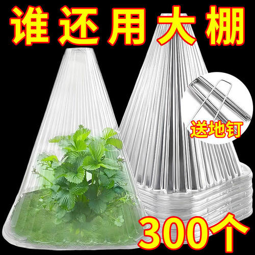 加厚育苗保温防霜防虫防鸟罩