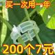 植物瓜果植物夹塑料绑蔓夹绑枝夹吊蔓夹扶蔓夹西红柿夹藤蔓固定夹