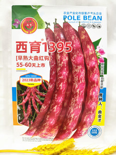 佳木斯西林种子西育1395早熟大曲红钩豆角种子红金钩籽200粒包邮