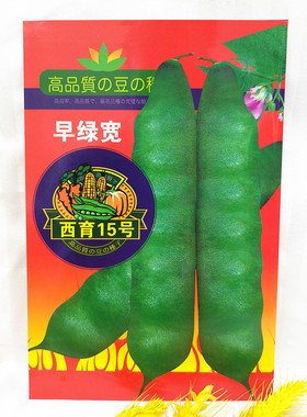 佳木斯西林油豆角种子早绿宽西育15号大油豆紫色大棚种早熟100克