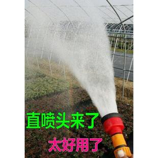 直喷头1000目园艺花洒小苗浇水花卉园林洒水器长杆喷水枪大棚育苗