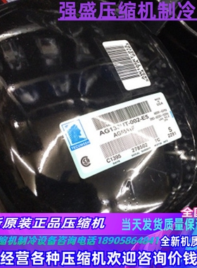 AVA5535EXG 5528 AG5524 AV5532E AVA5546EXG原装泰康活塞压缩机