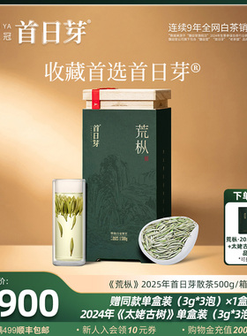首日芽®荒枞收藏装 2025首采新茶特级白毫银针福鼎白茶茶叶500g