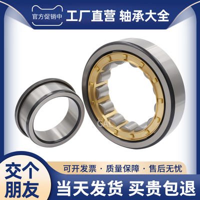 圆柱滚子轴承NJ2204 2205 2206 2207 2208 2209 2210 2211 2212EM