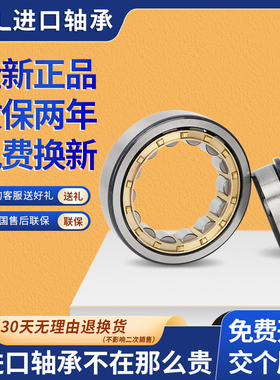 日本GAL进口圆柱滚子轴承 NJ NU202 203 204 205 206 207 208EM