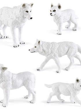 仿真野生动物北极狼模型儿童科教认知白狼桌面装饰摆件玩具