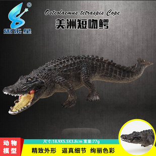 实心仿真动物模型玩具 美洲短吻鳄 野生鳄鱼动物手办认知摆件