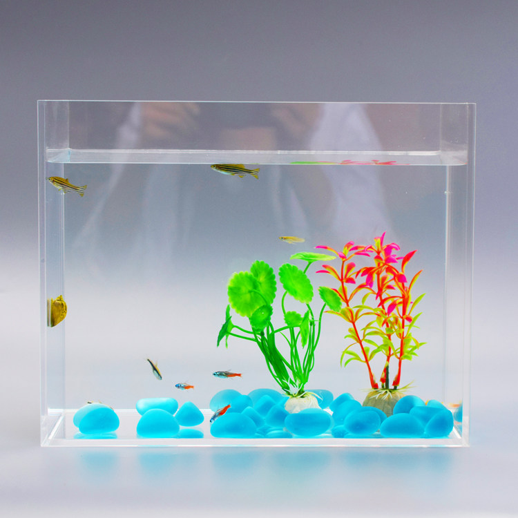 客厅半球超白壁挂式墙饰台式方形桌面斗鱼缸真水草水族箱家用草缸