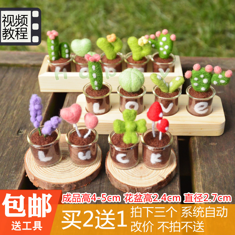 迷你玻璃瓶多肉植物羊毛毡戳戳乐多肉盆栽DIY手工材料包送工具