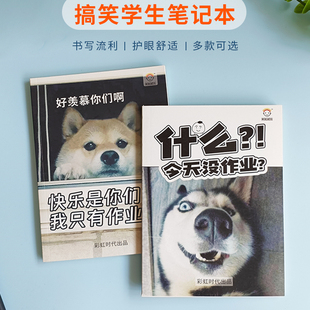 搞笑搞怪笔记本个性表情包创意恶搞封面高考总复习好好学习记事本