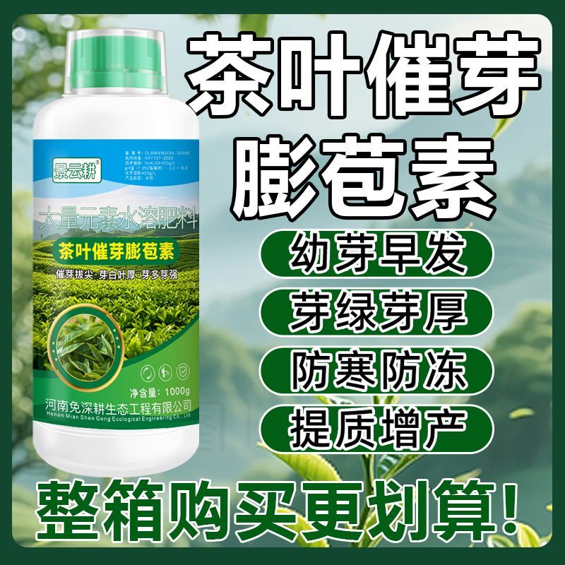 茶叶催芽专用膨苞素拔尖