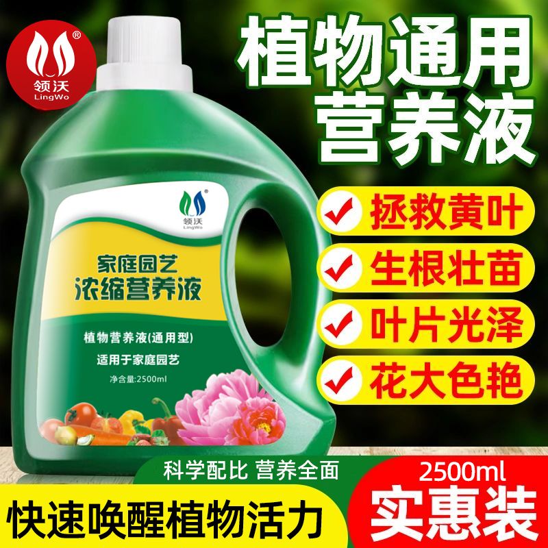 植物营养液通用型水培僵