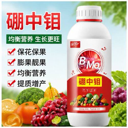 硼中钼微量元素肥料促进