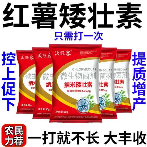 红薯控旺剂矮壮素只长不