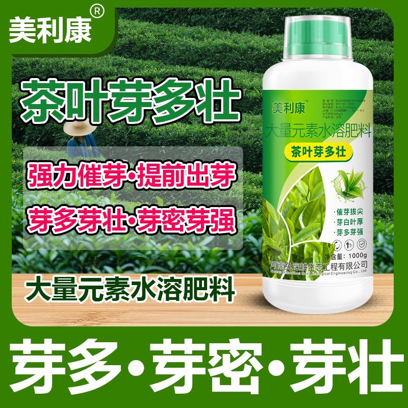 茶叶芽多壮催芽护芽专用