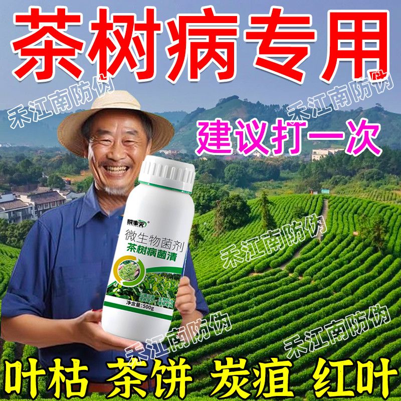 茶树病专用菌剂卷叶黄叶茶饼病黑星病芽枯叶斑病正菌剂农用通用